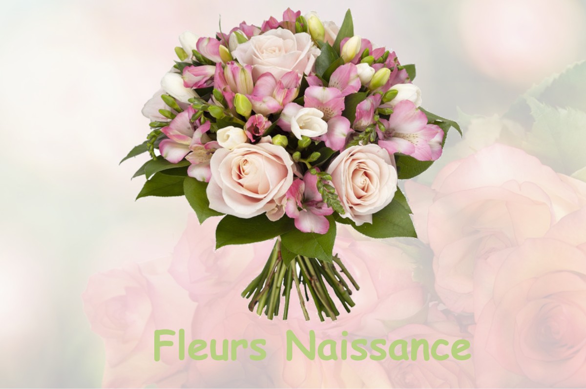 fleurs naissance VILLENAVE-DE-RIONS